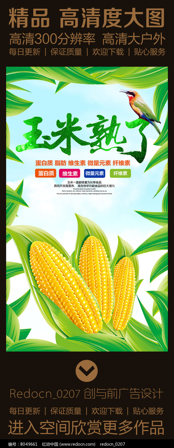 黃金玉米?甜蜜相約 —— 自然鮮甜限時(shí)特惠
